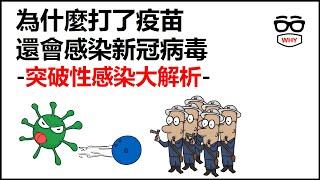 為什麼打了疫苗還會感染新冠病毒?｜突破性感染大解析｜那些年我們經歷了COVID-19