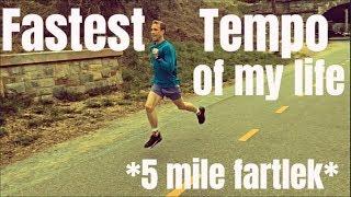 THE FASTEST TEMPO FARTLEK RUN OF MY LIFE *super painful*