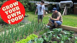 Grow your own food uk #1 Self sufficient UK!