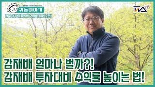 [귀농이야기2화] 감나무 얼마나 벌까? 투자대비 수익률 높이는 방법은?!  상주 감꽃농장 권창이대표 2편