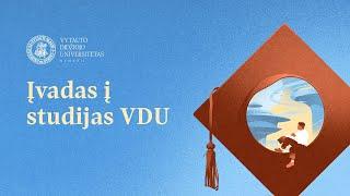 Įvadas į studijas VDU 2022.  Diskusija VDU IDENTITY.