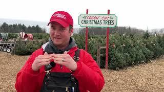 Saginaw’s Kluck's Nursery closes early due to shortage of Christmas trees