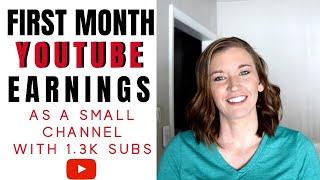 Actual First Month YouTube Earnings as a Small Channel with 1.3k Subscribers vs Blog Income