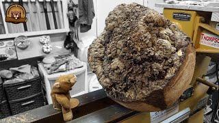 Woodturning - Giant Oak Burl