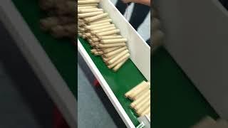 Automatic bottom sealing machine for fireworks tube (no soil no mud)