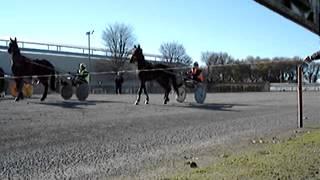 Harness standing start at Warragul