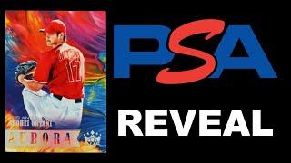 Unveiling the Hidden Gems: 30+ PSA Sports Card Reveal - Basketball, Football and Baseball