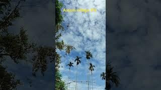 Assam vlogs // village life guys like comment share @ 2025