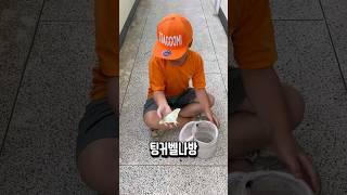 팅커벨나방 관찰  짜꼬미의 다른 모습^^#옥색긴꼬리산누에나방#팅커벨나방#shorts#짜꼬미TV#곤충관찰