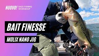 Bait Finesse - Molix Nano Jig