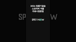 2024 청룡기결승. 스포티비 어플 무료시청방법