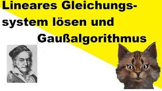 Alles über LGS lösen und den Gaußschen Algorithmus erklärt