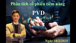 Cổ phiếu PVD có triển vọng và tiềm năng gì trong năm 2025? #chungkhoan #tueco #cophieupvd