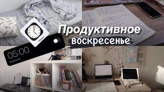 Один день из моей жизни  || ПРОДУКТИВНОЕ ВОСКРЕСЕНЬЕ || Будни студентки