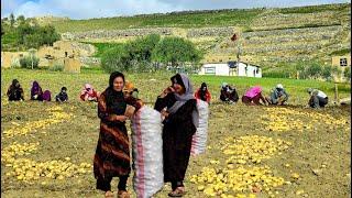 سبک زندگی در روستاهای افغانستان | مشارکت دختران افغان در کار روزانه