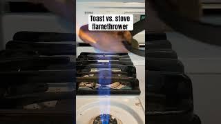 Pyromaniac toasts bread #fire #science #meme #shorts