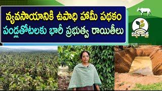 పండ్లతోటలకు భారీ ప్రభుత్వ రాయితీలు || Huge Govt Subsidies for Orchard farmers || Karshaka Mitra