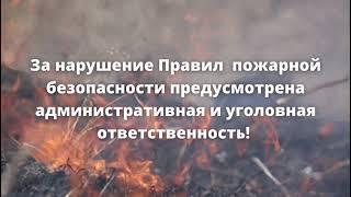 Главное управление МЧС России по Еврейской автономной области предупреждает