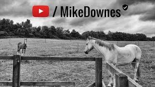 Welcome to My Channel by Mike Downes