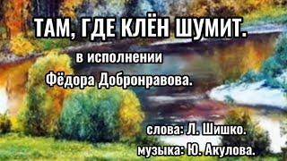 ТАМ, ГДЕ КЛЁН ШУМИТ.