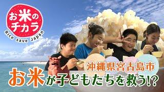 「お米のチカラ ～ Rice save Japan ～」宮古島の取り組み篇