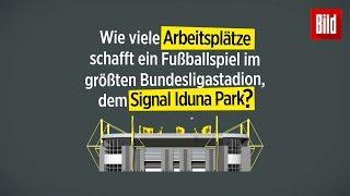 Wissen zum Angeben: So viele Arbeitsplätze schafft ein Fußballspiel | Signal Iduna Park