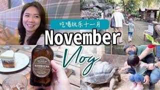 November Vlog | 城の农场 | 流心芝士蛋糕 | 像啤酒的咖啡