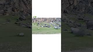 مکان#یاسوج #iran #آرامش #nature #طبیعت #سیزده_بدر #travel #سفر