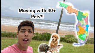 Moving 40+ pets Across an Entire State! (phase 2)