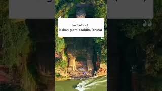 Fact about leshan Giant Buddha #shorts #facts #gk #china #buddha #factshorts