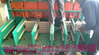 automatic waste paper egg tray machine