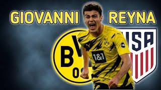 The Brilliance of Giovanni Reyna ● Skills & Goals HD