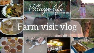 A DAY SPEND IN OUR FARM  | VISIT TO FARM | VILLAGE LIFE | FAMILY TIME | VLOG |