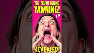 Yawning SECRETS EXPOSED by Top Neuroscientist!