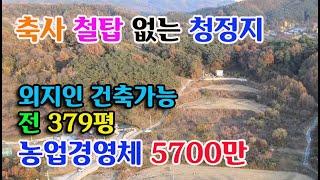 [홍성군 금마면]축사 철탑없는 청정지 전방 조망 굿| 시세이하 전원주택지 농막설치 379평 전 5700만 홍성부동산 귀농귀촌 싼땅 전문 예산부동산 부동산 필