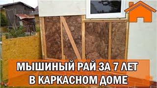 Kd.i: Мышиный рай за 7лет в каркасном доме. Слабонервным не смотреть.