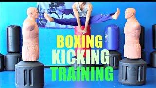 TAEKWONDO KICKING PUNCHING AND TRAINING SAMPLER ON THE BOB XL