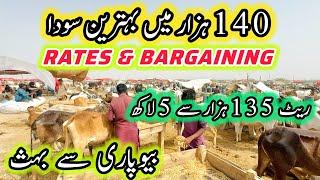 Northern Bypass Mandi Rates & Bargaining | Latest Update | Cow Mandi 2025