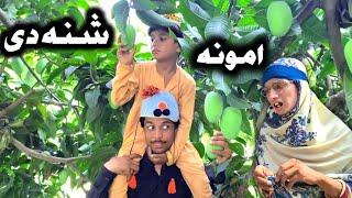 Amona Shana De Pashto New Funny Video 2023 by Tuti Gul Official