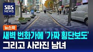 새벽 번화가에 '가짜 횡단보도' 그리고 사라진 남녀…무슨 일 / SBS / 뉴스딱