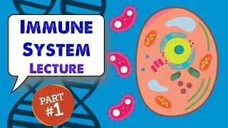 MCAT Biology Lecture: Immune System (1/2)