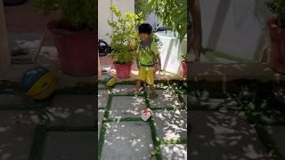 അങ്ങനെ ഇന്നത്തെ ഉച്ചയൂണ് ഉണ്ടാക്കാൻ ചെന്നപ്പോൾ
