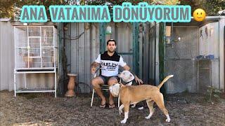 AVUSTRALYA DAN TÜRKİYE YE KESİN DÖNÜŞ KARARI ALDIM