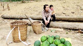 Single mother goes to find papaya to sell.