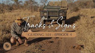 How to identify, differentiate and read animal tracks & signs | Guiding 101 l EcoTraining