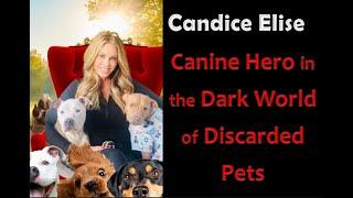 Candice Elise:  Canine Hero in the Dark World of Discarded Pets