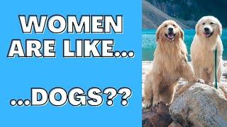 LESSON FROM 2 DOGS ABOUT ATTRACTION