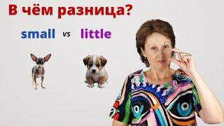 Small или Little в значении «маленький» - В чем разница между Small & Little? – DA English