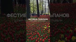 Фестиваль тюльпанов на Елагином — самое цветочное событие весны! #спб #санктпетербург #питер