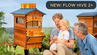 Introducing the Flow Hive 2+ with New Beekeeping Features!